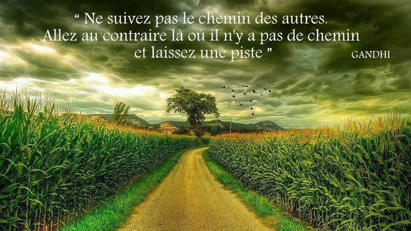 CONSEIL DE SAGE SUR LA VIE visual data 3